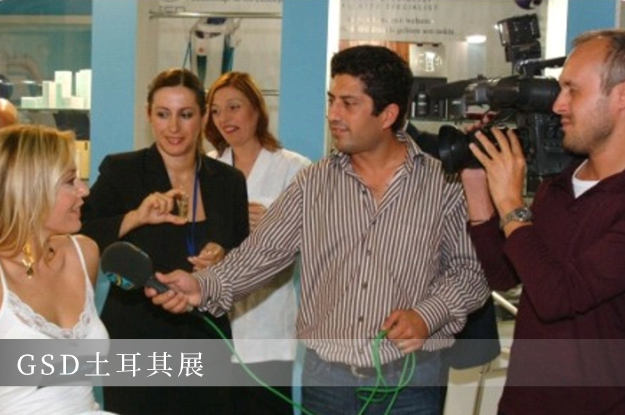 $v.album_alt_format[$v2]